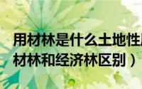 用材林是什么土地性质（2024年10月08日用材林和经济林区别）