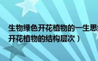 生物绿色开花植物的一生思维导图（2024年10月08日绿色开花植物的结构层次）