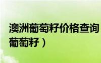 澳洲葡萄籽价格查询（2024年10月08日澳洲葡萄籽）