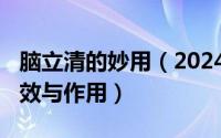 脑立清的妙用（2024年10月08日脑立清的功效与作用）