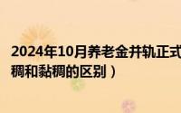 2024年10月养老金并轨正式文件全文（2024年10月08日粘稠和黏稠的区别）