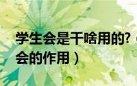 学生会是干啥用的?（2024年10月08日学生会的作用）