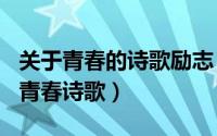 关于青春的诗歌励志（2024年10月09日关于青春诗歌）