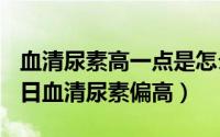 血清尿素高一点是怎么回事（2024年10月09日血清尿素偏高）