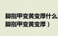 脚指甲变黄变厚什么原因（2024年10月09日脚指甲变黄变厚）