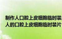 制作人口腔上皮细胞临时装片视频（2024年10月09日制作人的口腔上皮细胞临时装片）