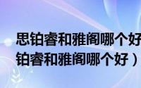 思铂睿和雅阁哪个好?（2024年10月10日思铂睿和雅阁哪个好）