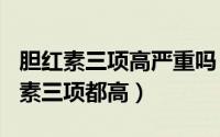 胆红素三项高严重吗（2024年10月10日胆红素三项都高）