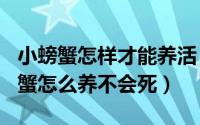 小螃蟹怎样才能养活（2024年10月10日小螃蟹怎么养不会死）