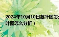 2024年10月10日茎叶图怎么分析呢（2024年10月10日茎叶图怎么分析）