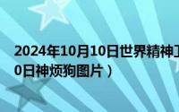 2024年10月10日世界精神卫生日宣传资料（2024年10月10日神烦狗图片）