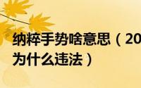 纳粹手势啥意思（2024年10月10日纳粹手势为什么违法）