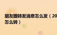 朋友圈转发消息怎么发（2024年10月11日微信朋友圈转发怎么转）