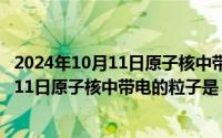 2024年10月11日原子核中带电的粒子是什么（2024年10月11日原子核中带电的粒子是）