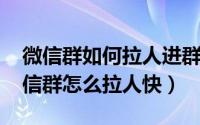 微信群如何拉人进群?（2024年10月11日微信群怎么拉人快）