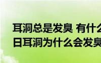 耳洞总是发臭 有什么办法（2024年10月11日耳洞为什么会发臭）