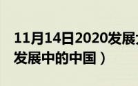 11月14日2020发展大会（2024年10月11日发展中的中国）