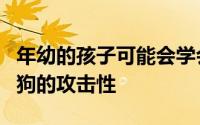 年幼的孩子可能会学会根据年龄和经验来识别狗的攻击性