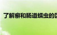 了解癣和肠道蠕虫的区别有助于治疗和驱虫