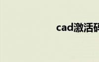 cad激活码怎么获取