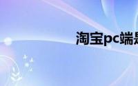 淘宝pc端是什么意思