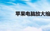 苹果电脑放大缩小快捷键是什么