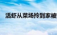 活虾从菜场拎到家被热熟 真的这么夸张吗