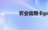 农业信用卡gold是什么意思