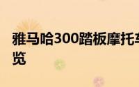 雅马哈300踏板摩托车：性能、设计与技术一览