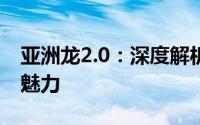 亚洲龙2.0：深度解析新一代旗舰轿车的独特魅力