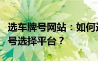 选车牌号网站：如何选择一个安全可靠的车牌号选择平台？