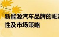 新能源汽车品牌的崛起与挑战：创新、可持续性及市场策略