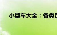 小型车大全：各类别、品牌及车型详解